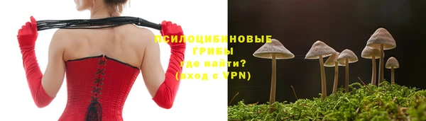 дурь Абинск