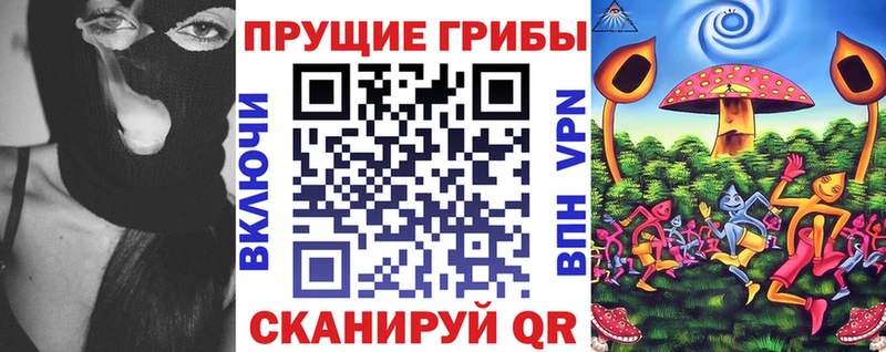 где найти наркотики  Советск  Псилоцибиновые грибы мухоморы 