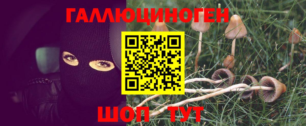 наркота  Галлюциногенные грибы MAGIC MUSHROOMS  Вход с VPN  Советск 